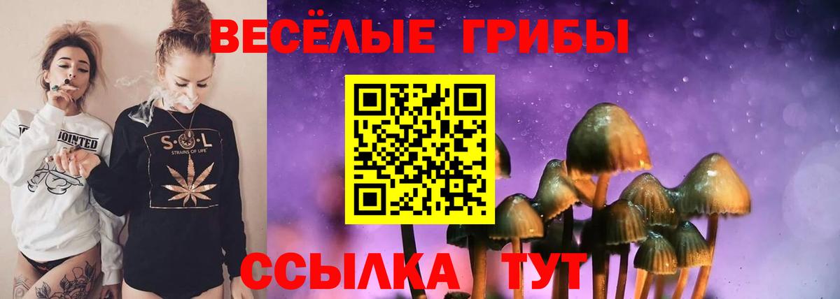 Галлюциногенные грибы Magic Shrooms  Галлюциногенные грибы Psilocybe  Похвистнево  Вход с VPN 